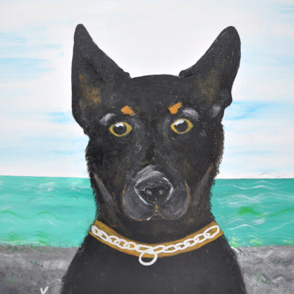 Kelpie Dog Thumbnail