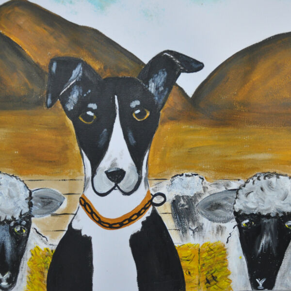 NZ Heading Dog  Thumbnail