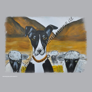 New Zealand Heading Farm Dog  Design