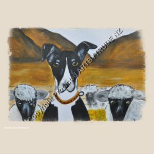 New Zealand Heading Farm Dog  Design