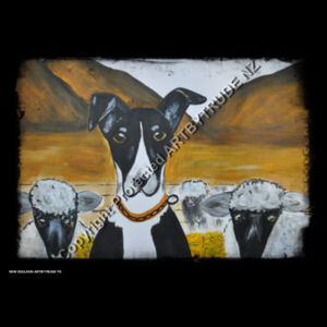 New Zealand Heading Farm Dog  Design