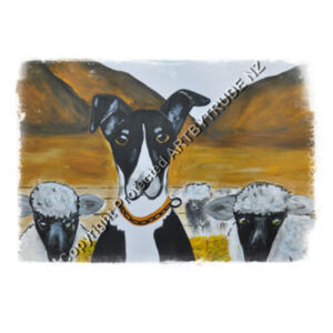 New Zealand Heading Farm Dog  Design