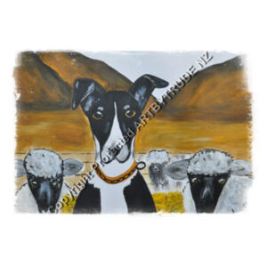 New Zealand Sheep Dog  Design