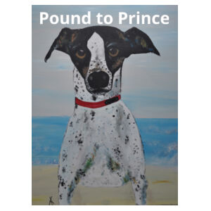 Pound to Prince Cushion Cover Design