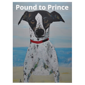 Dog Pillow Slip Design
