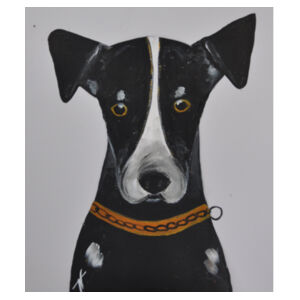 NZ Sheep Dog  Design