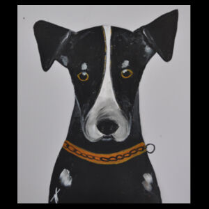 NZ Sheep Dog  Design