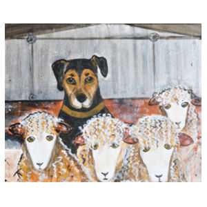 NZ Sheep  Design