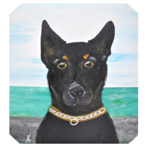Kelpie Coaster Design