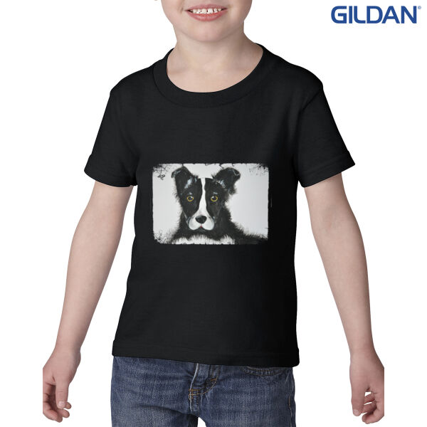 Border Collie  Thumbnail