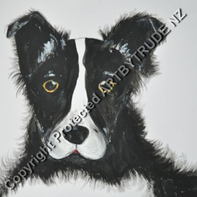 Working Collie Dog Thumbnail